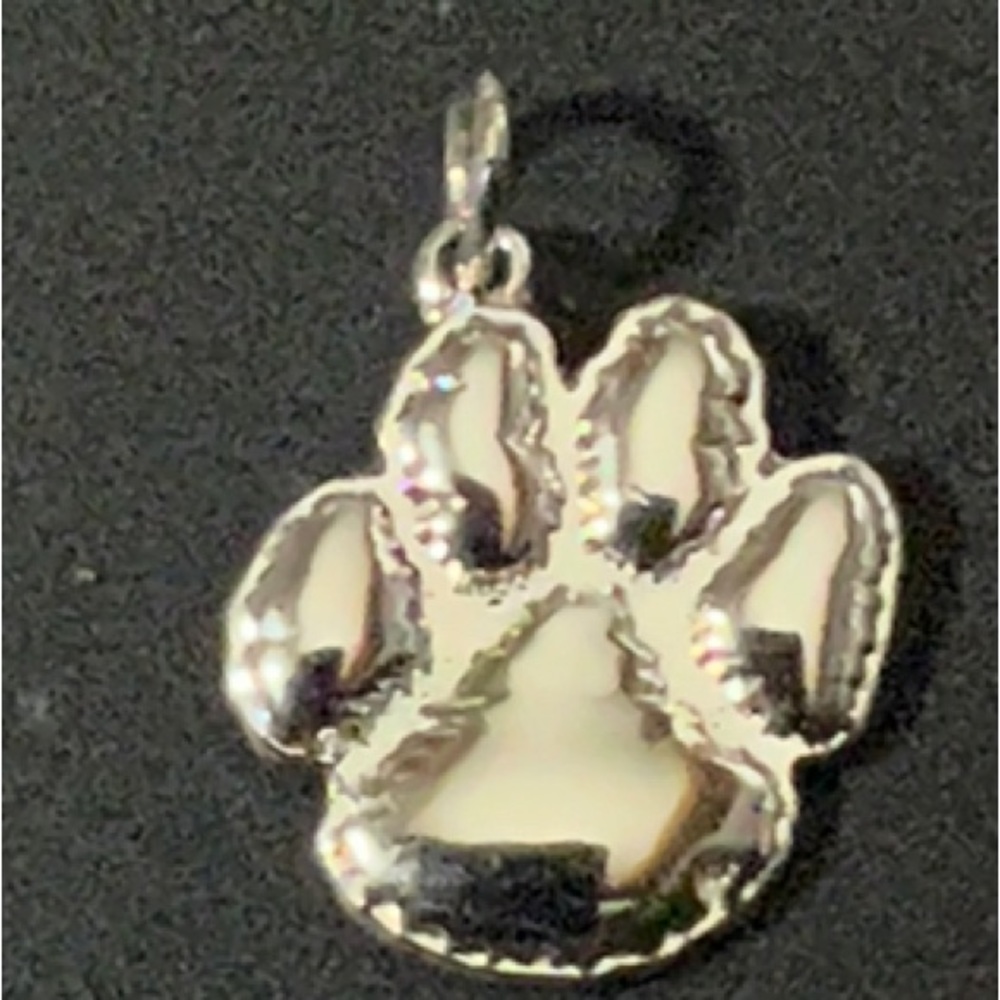 Clemson Tigers Paw Charm or Pendant